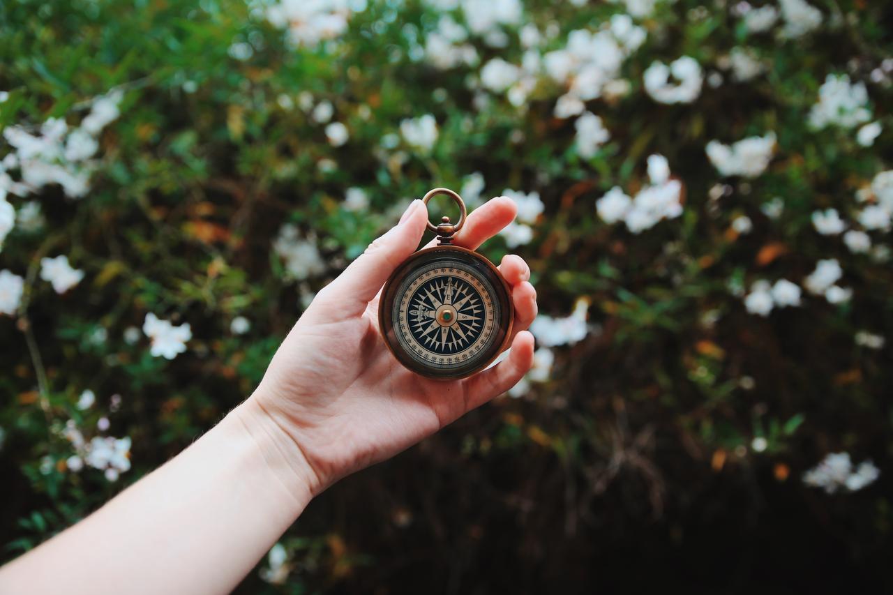 Nature, Flowers, Compass