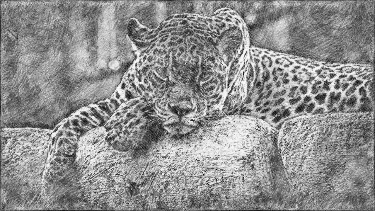 Artwork, Drawing, Pencil Drawing