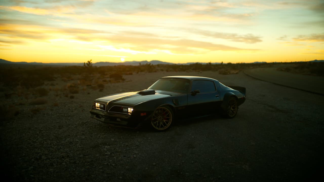 Pontiac, Speedhunters, Trans Am