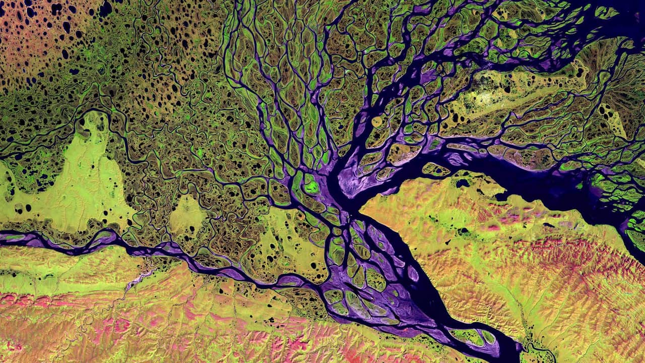 Siberia, River, Aerial View