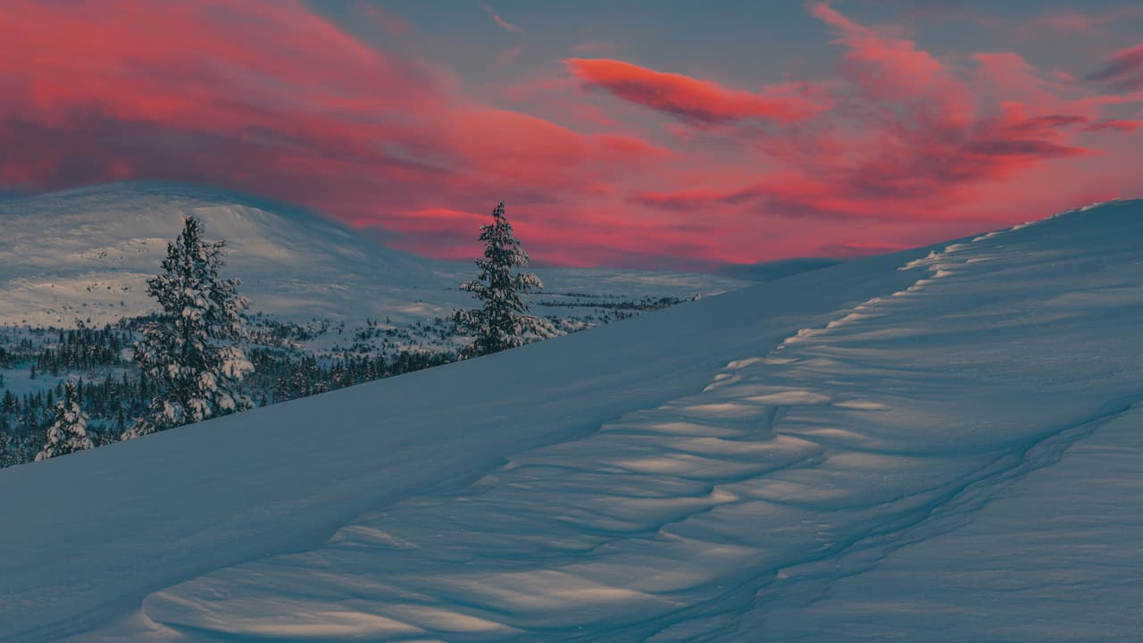 Snow Covered, Sunset Glow, Winter