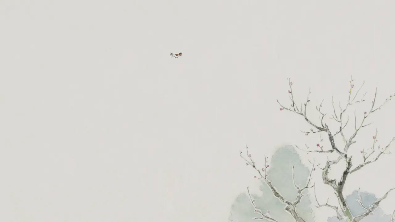 A bird flying in the sky