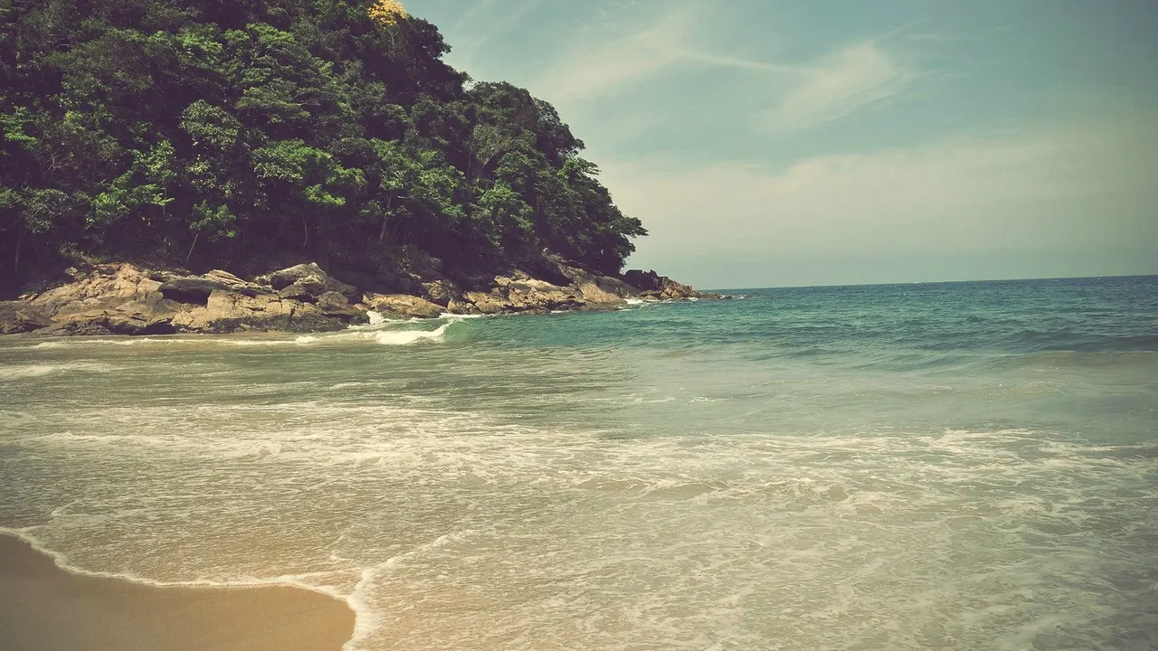 A beach with trees on the side