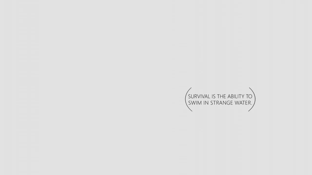 A white background with black text