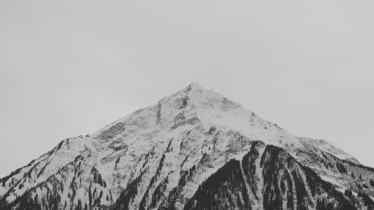 A mountain with snow and trees