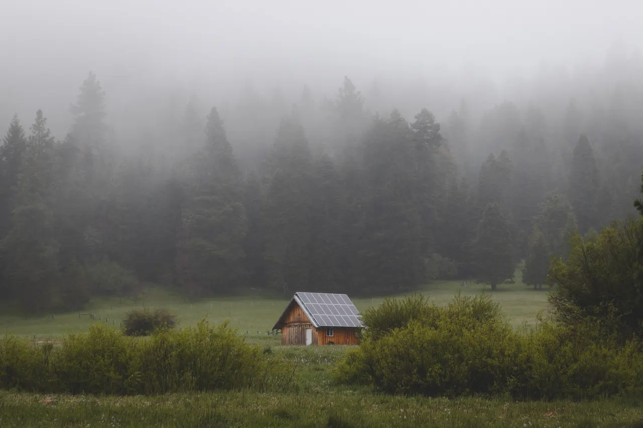 A house in a field with trees