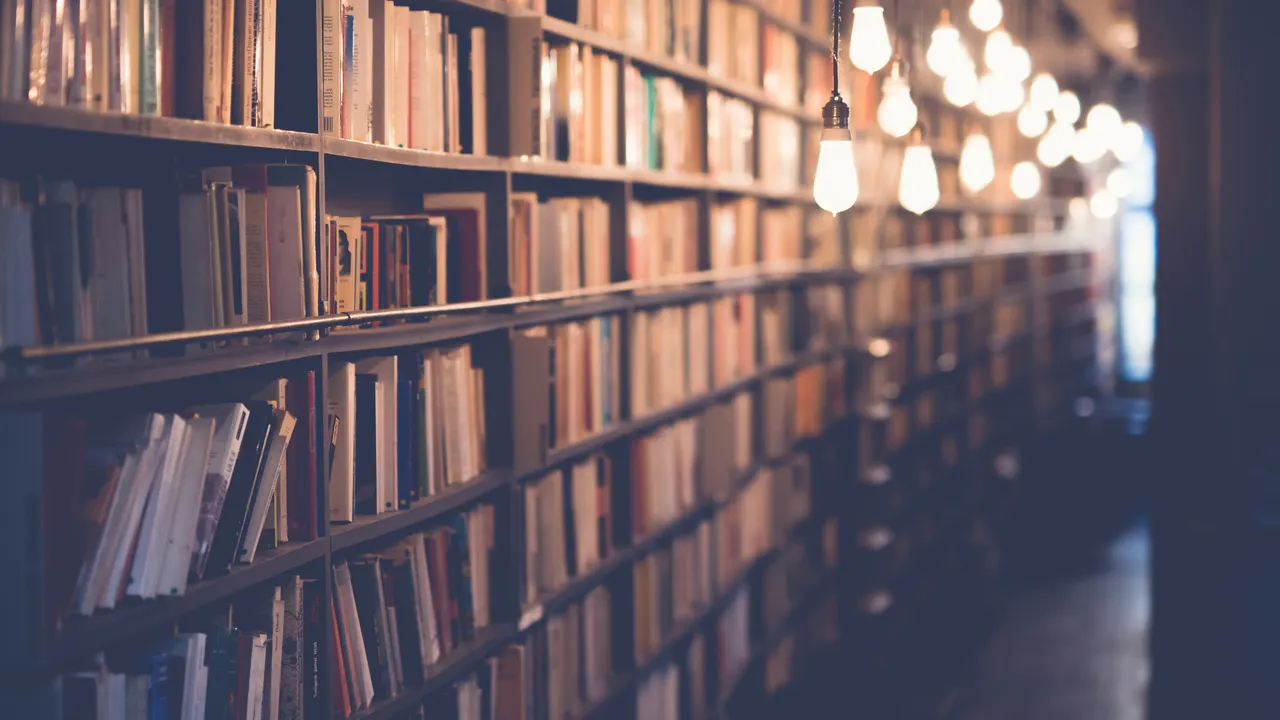 A bookshelf with lights from the ceiling