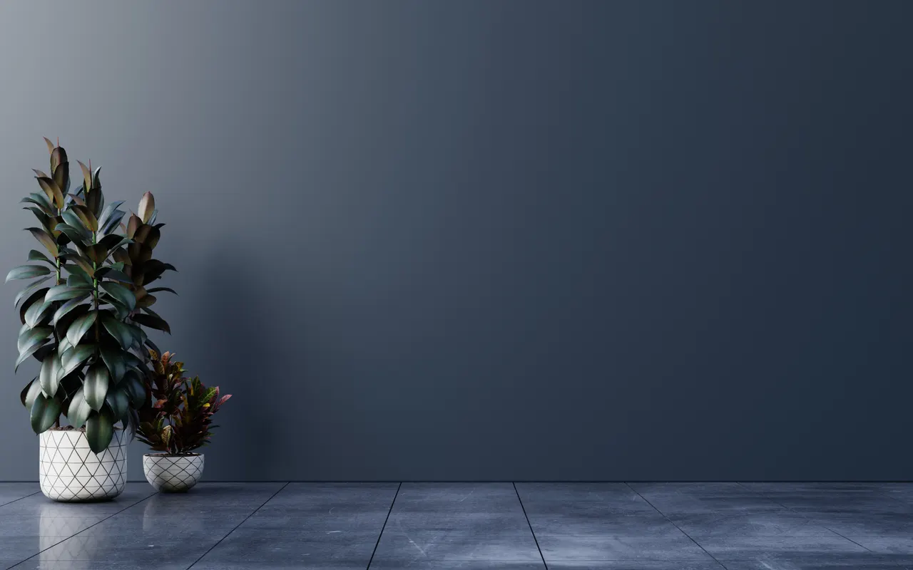 A plant in a pot