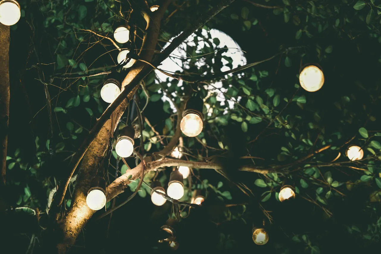 A tree with lights on it
