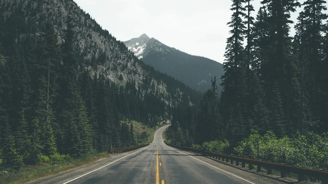 A road with trees and mountains in the background