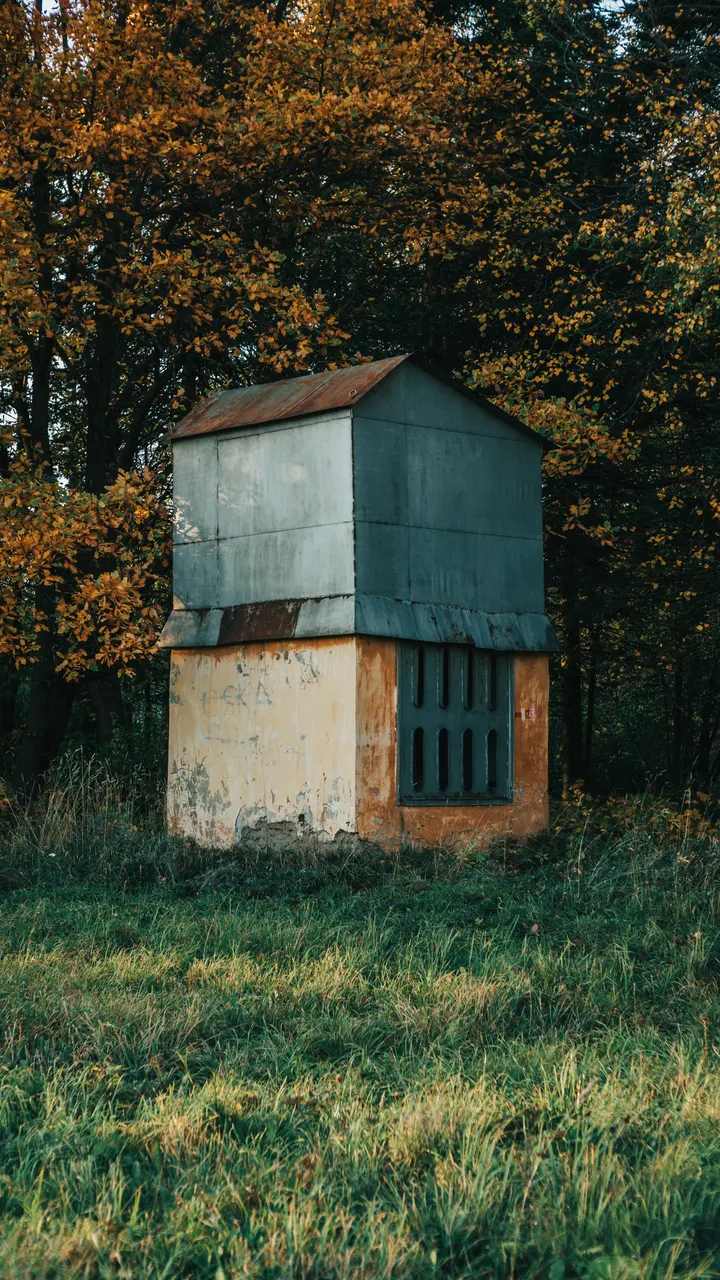 A building in the woods