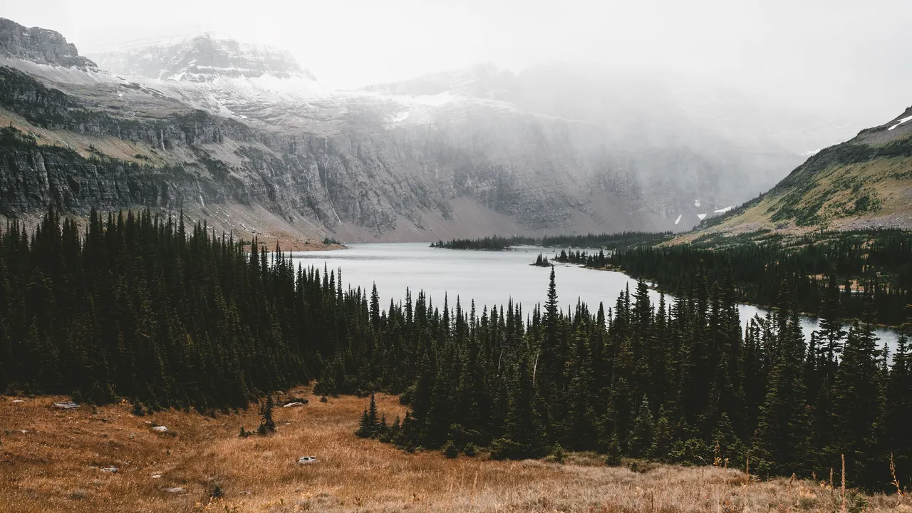 A lake surrounded by trees