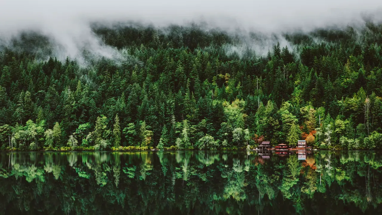 A lake with trees and clouds