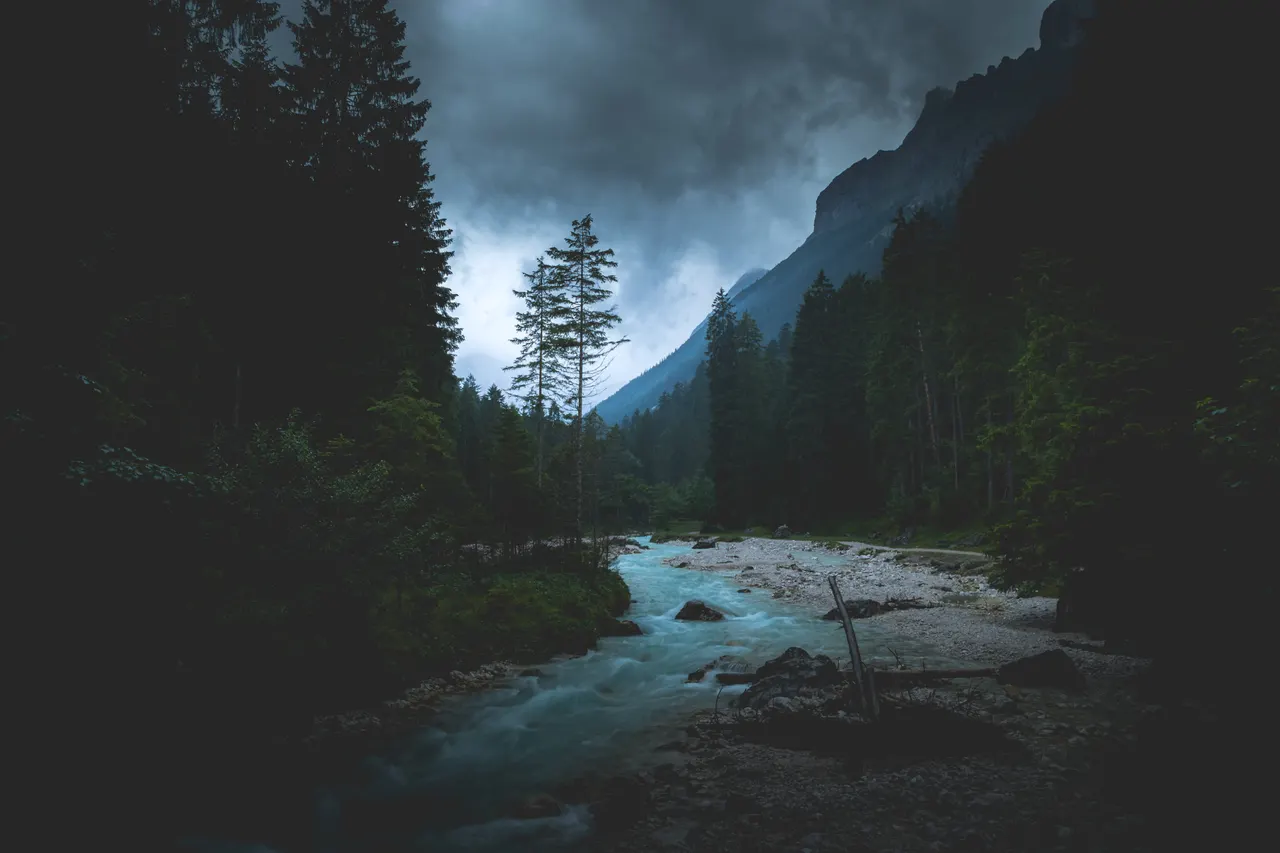 A river running through a forest
