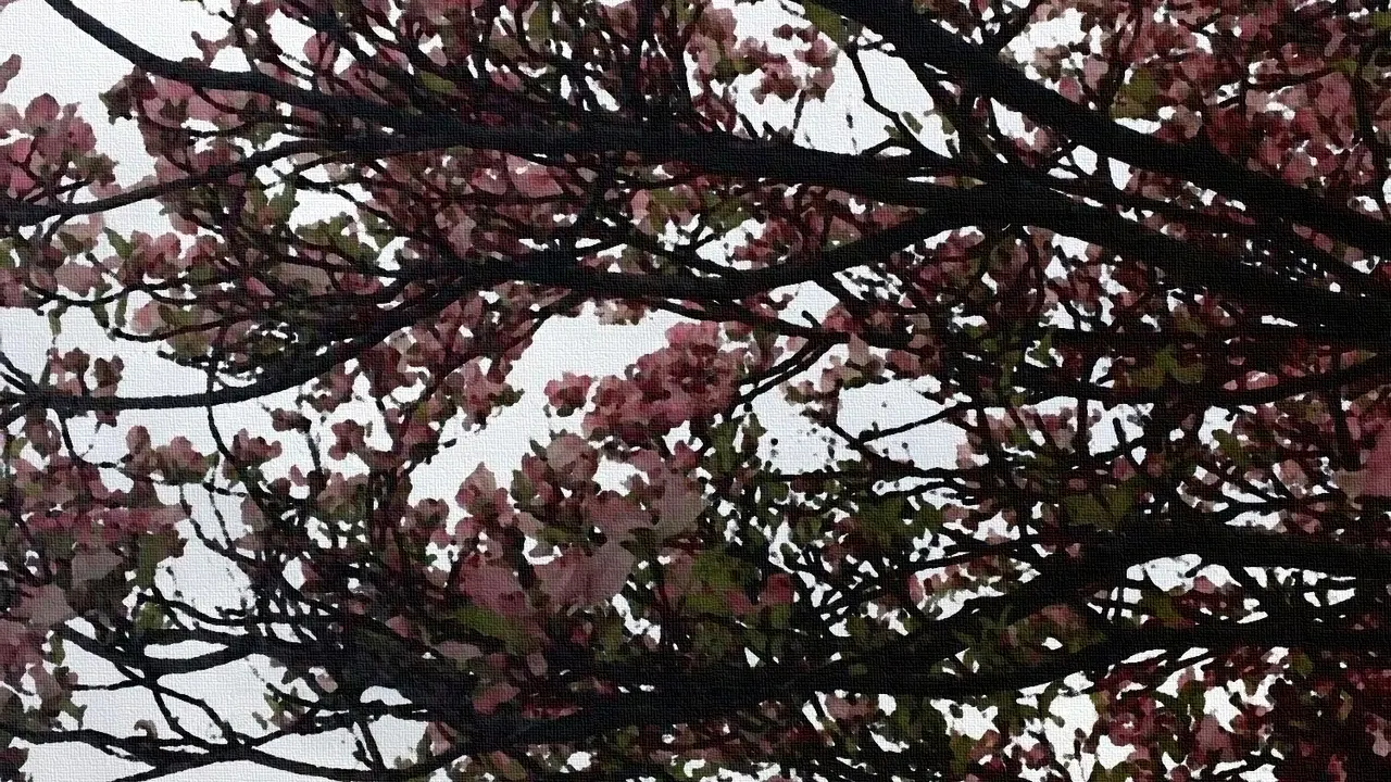 A tree with pink flowers