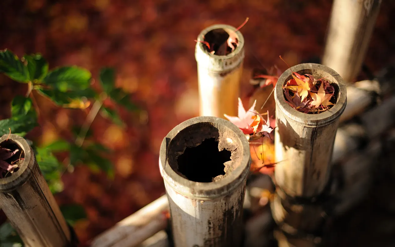 A group of bamboo poles with leaves on them