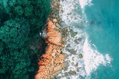 A rocky beach with trees and water