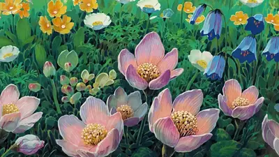 A group of flowers in a field