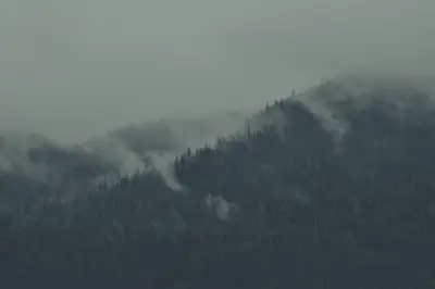 A foggy mountain with trees