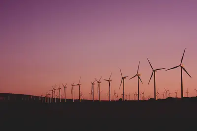 A group of windmills in a field