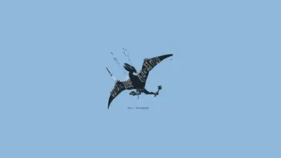 A black bird with a sword