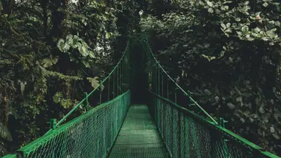 A green bridge in the middle of a forest