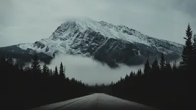 A road with trees and a mountain in the background