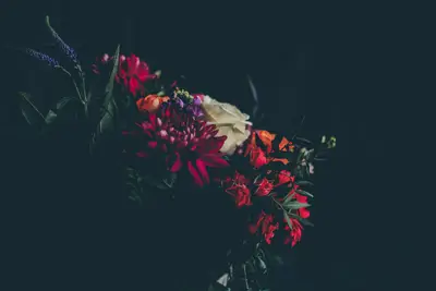 A group of flowers in a vase