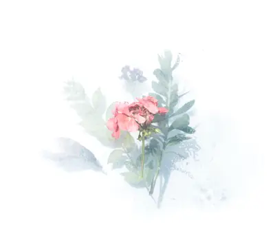 A pink flower with green leaves