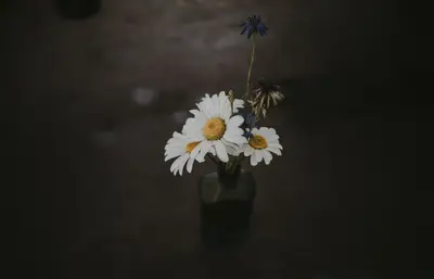 A white and yellow flowers in a glass vase