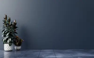 A plant in a pot