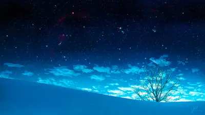 A tree in a snowy field