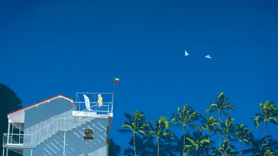 A white building with a flag on top and palm trees