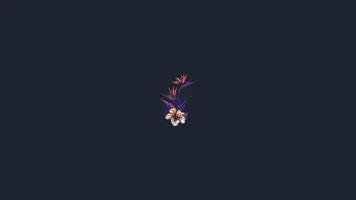 A flower on a dark background