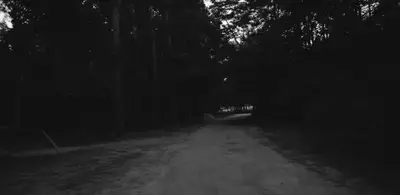 A dirt road with trees in the background