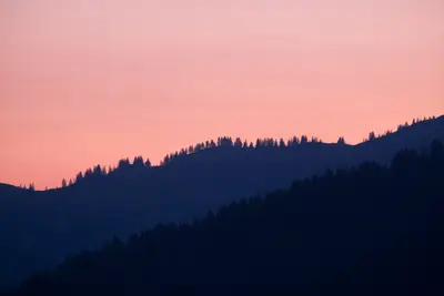 A silhouette of trees on a hill