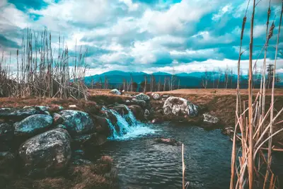 A small waterfall in a grassy area