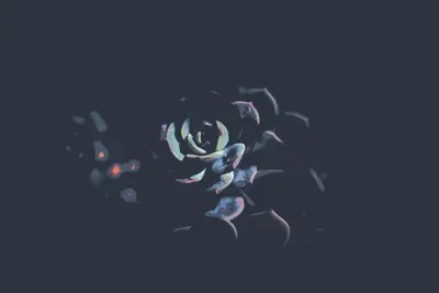 A close up of a plant