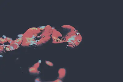 A close up of water droplets on a red object