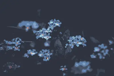 A group of small flowers