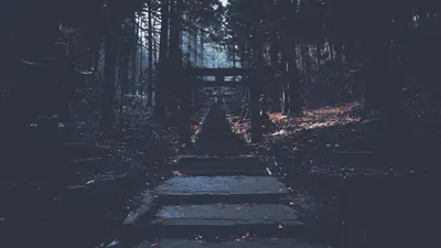 A stone steps leading up to a forest