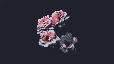 A group of flowers on a black background
